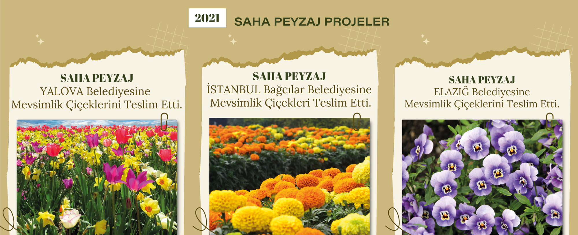 Saha Peyzaj 2