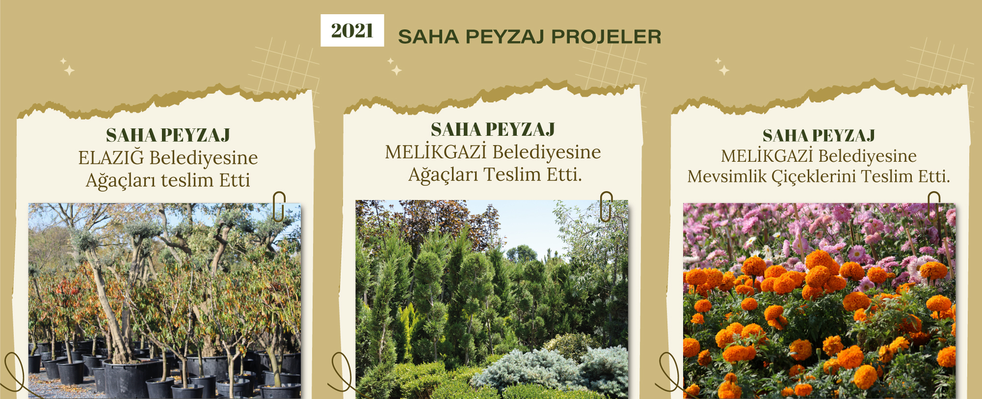 Saha Peyzaj 5